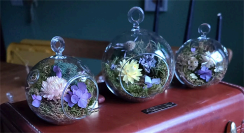 Herbarium.png
