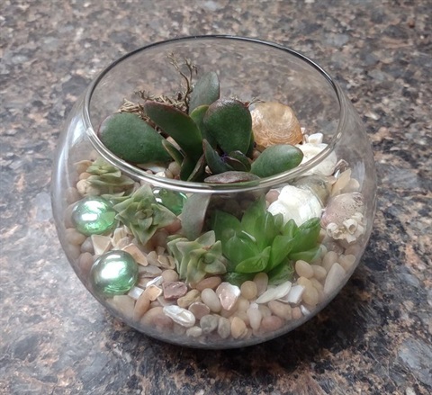 terrarium-bowl.jpg