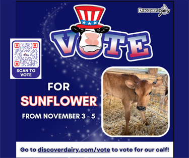 Vote for SUNFLOWER